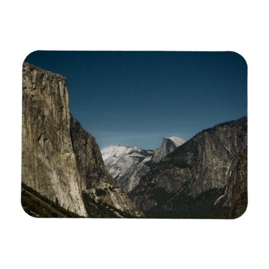 バレーガーディアンプレミアムマグネット マグネット (横)