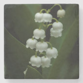 バレーストーンコースターのリリー ストーンコースター (正面)