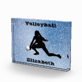 バレーボールのガラス フォトブロック (右)