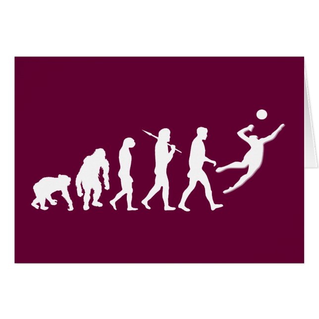 バレーボールのギフト (正面横)