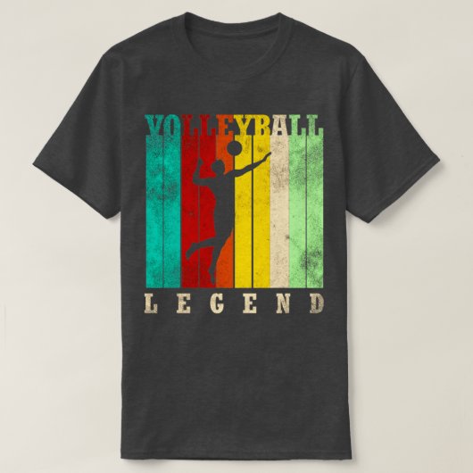 バレーボールの凡例 Tシャツ (デザイン正面)
