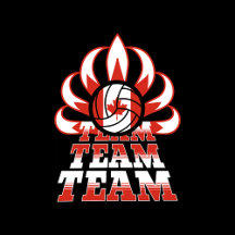 バレーボールカナダ伝統ユニセックススパイクチーム