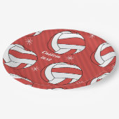 バレーボールストライプのフェスティバルボール雪おもしろい ペーパープレート (アングル)