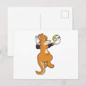 バレーボールスポーツでのカンガルー ポストカード (正面/裏面)