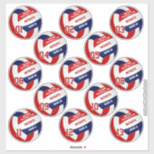 バレーボールチームのメンバー13の赤青セット シール (シート)