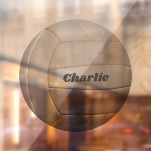 バレーボール名前をカスタムする ウィンドウサイン (シート2)