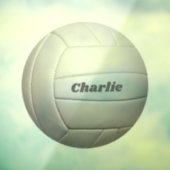 バレーボール名前をカスタムする ウィンドウサイン (シート3)