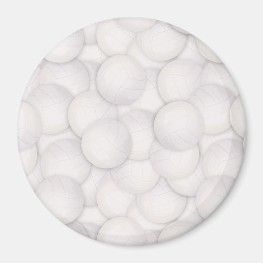 バレーボール用型磁石 マグネット (正面)