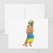 バレーボール選手としての猫とバレーボール ポストカード (正面/裏面)