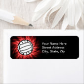 バレーボール;赤 ラベル (インサイチュ)