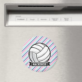 バレーボール、青、ピンク、白ストライプ色、スポーツ マグネット (インサイチュ (食洗機))
