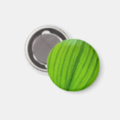 バレーマグネットのユリ マグネット (正面/裏面)