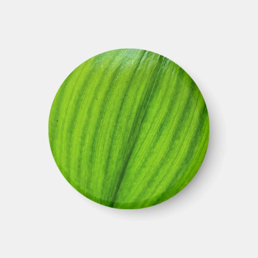 バレーマグネットのユリ マグネット (正面)