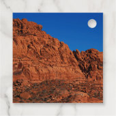 バレー・オブ・ファイア フェイバータグ (裏面)