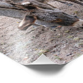 バロとベビー フォトプリント            (角)