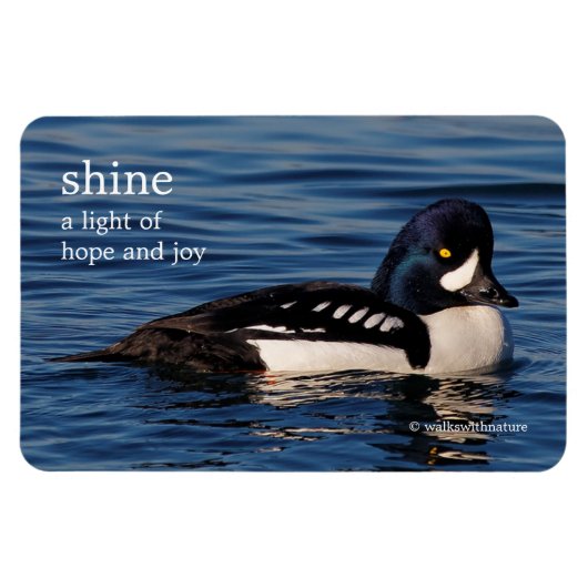 バロウのゴールデネアのプロフィール マグネット (横)