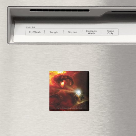 バログ対GANDALF™ マグネット (インサイチュ (食洗機))