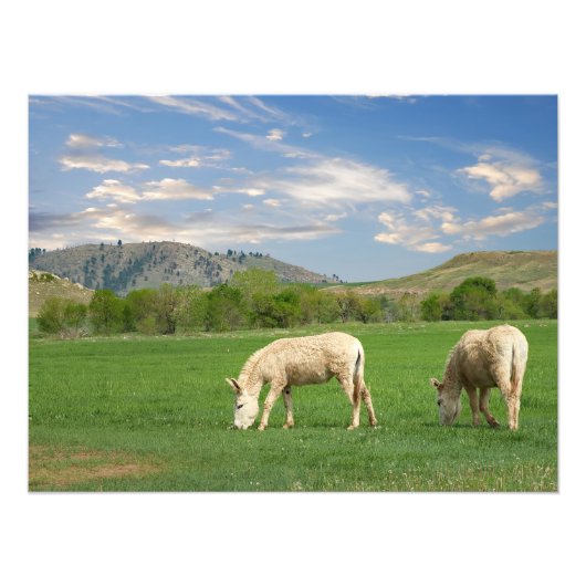 バロスインカスター州パークサウスダコタ フォトプリント            (正面)