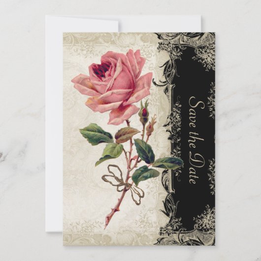 バロックスタイルヴィンテージバラブラックnクリームレース セーブザデート (正面)