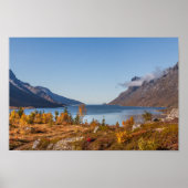 バロヤアイランドノルウェー ポスター (正面)