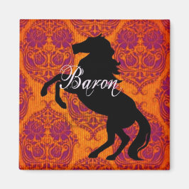 バロン磁石 マグネット