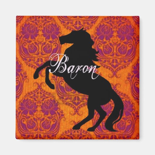 バロン磁石 マグネット (正面)