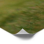 バロープフィンをお探し ポスター (角)