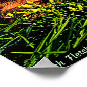 バロール ポスター (角)