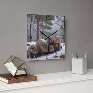 バロー凍ってい:オーストラリアのウォンバット一家。 スクエア壁時計