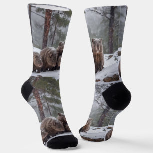 バロー凍ってい：オーストラリアのウォンバット一家。 ソックス