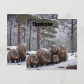 バロー凍ってい:オーストラリア産ウォンバットファミリー サンキューカード (正面/裏面)