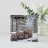 バロー凍ってい:オーストラリア産ウォンバットファミリー サンキューカード (スタンド正面)
