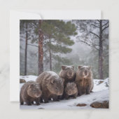 バロー凍ってい:オーストラリア産ウォンバットファミリー サンキューカード (裏面)