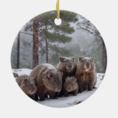 バロー凍ってい：オーストラリア産ウォンバットファミリー セラミックオーナメント (裏面)