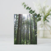 バンカバーアイランドフォレスト ポストカード (スタンド正面)