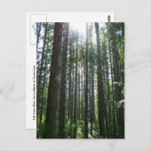 バンカバーアイランドフォレスト ポストカード (正面/裏面)