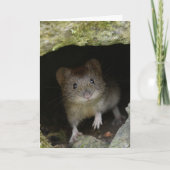 バンクの小声 カード (正面)