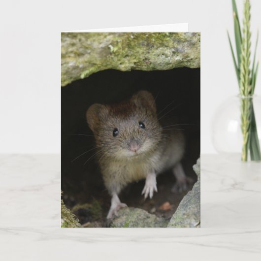 バンクの小声 カード (正面)