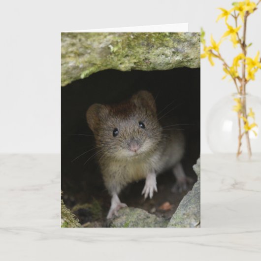 バンクの小声 カード (黄色い花)