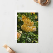 バンクオブイエローガーデンバラ ノートカード (正面/裏面インサイチュ)