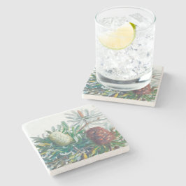 バンクシア花 | Ellis Rowan 1782 ストーンコースター