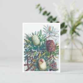 バンクシア花 | Ellis Rowan 1782 ポストカード