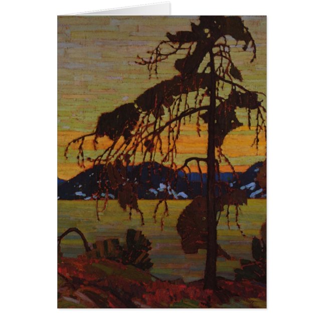 バンクスマツ (正面)