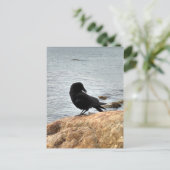 バンクーバーのカラス ポストカード (スタンド正面)