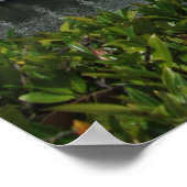 バンクーバーのクルーズ船、B.C.カナダ ポスター (角)