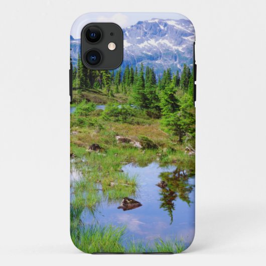バンクーバー島の奥地にあるタールン湖 Case-Mate iPhoneケース (裏面)
