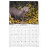 バンクーバー島カレンダー2026 カレンダー (3月 2026)