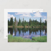 バンクーバー島、ストラスコナ州立公園2 ポストカード (正面/裏面)