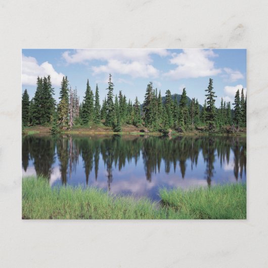 バンクーバー島、ストラスコナ州立公園2 ポストカード (正面)