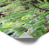 バンクーバー島、マクミラン地方公園1 ポスター (角)